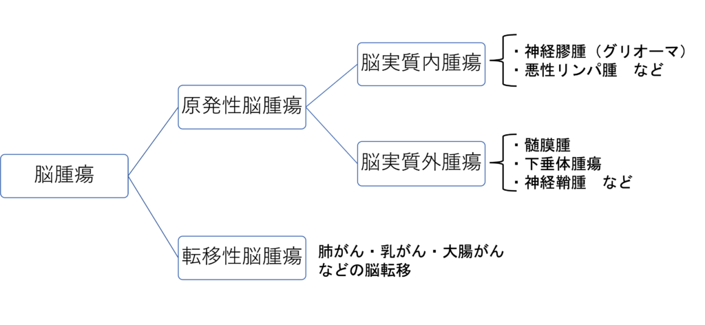 脳動脈瘤の表